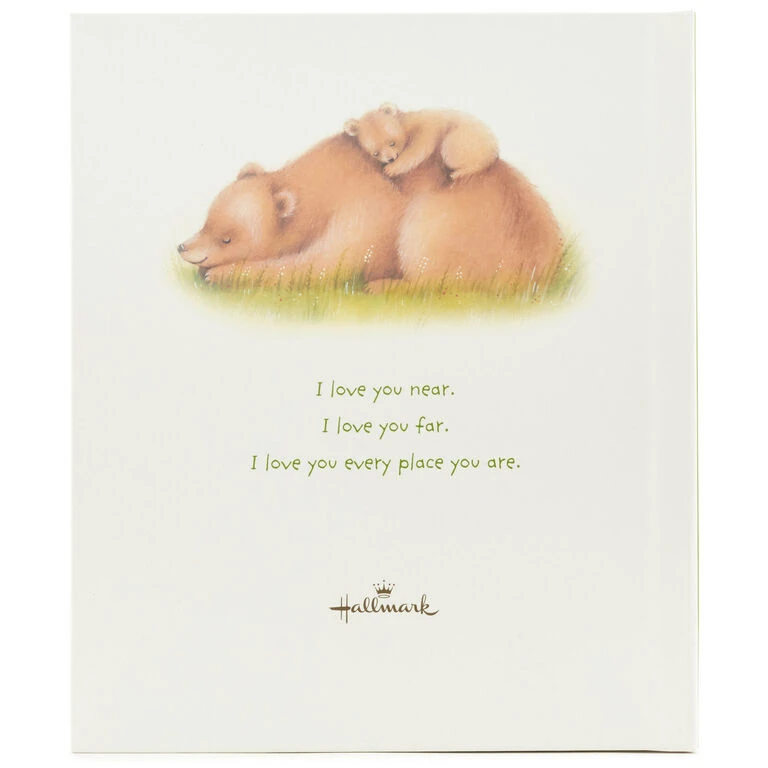 Hallmark All The Places I Love You Recordable Storybook With Music - Image 2