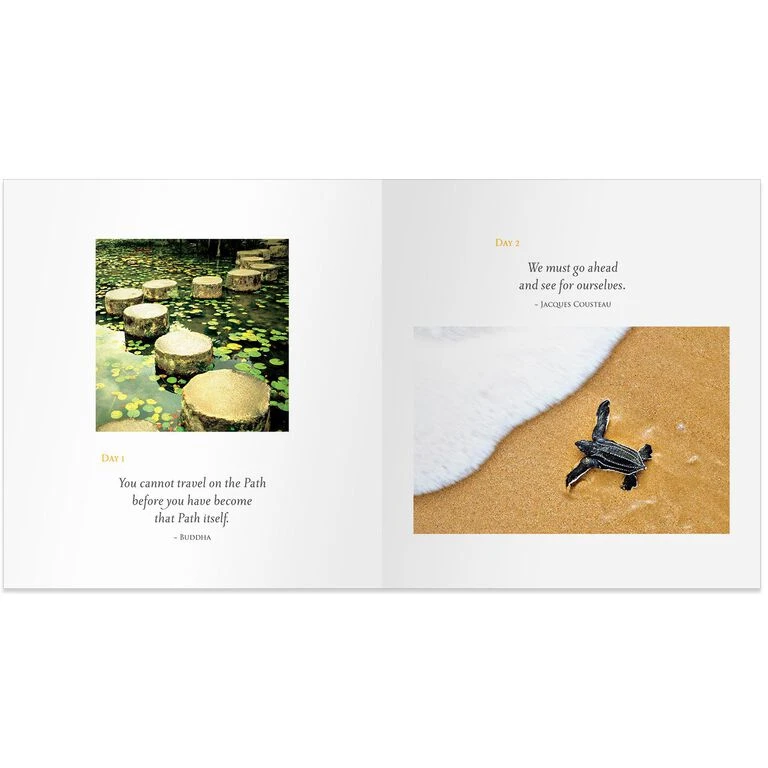 Hallmark Daily Calm Gift Book - Image 2