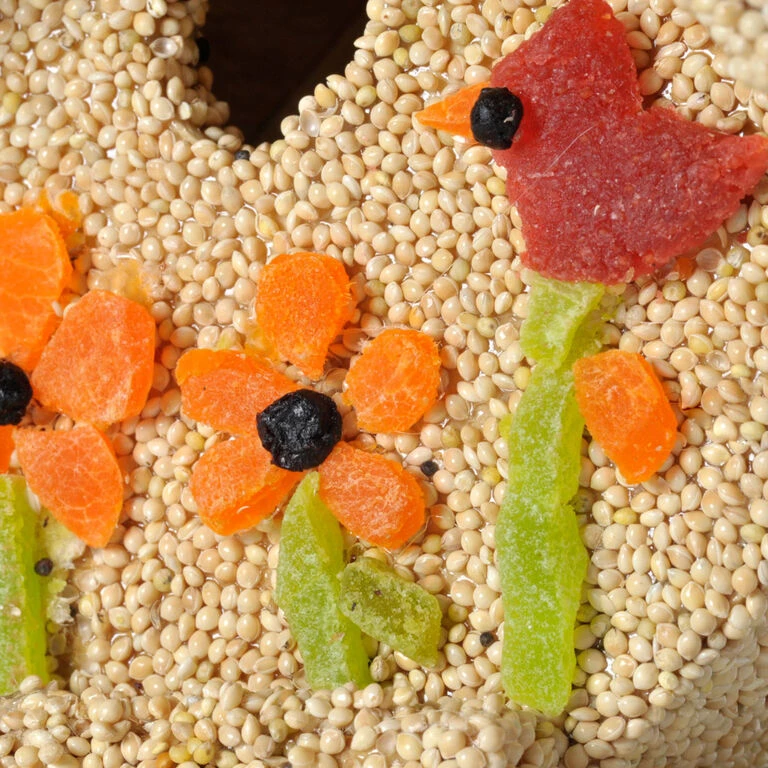 Mr. Bird Spring Fruit Casita Birdhouse - Image 2