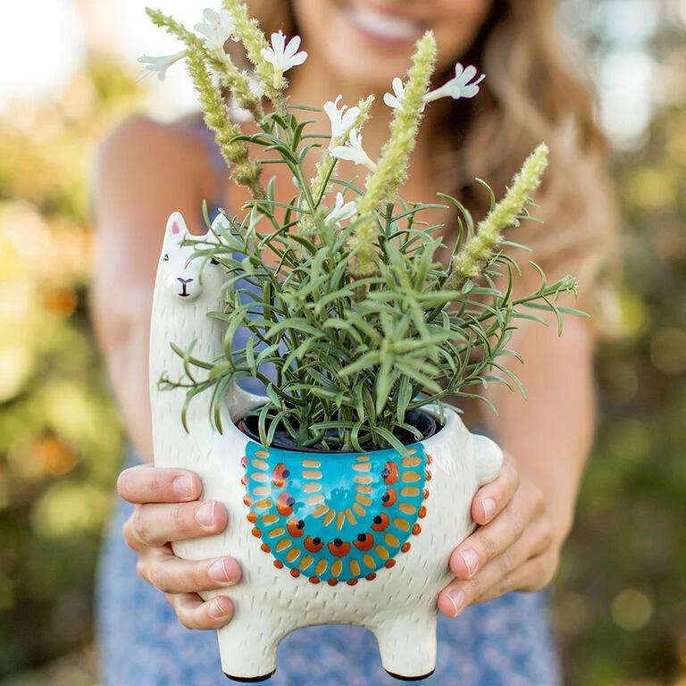 Natural Life Cream Ceramic Llama Planter - Image 2